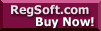 Regsoft.com