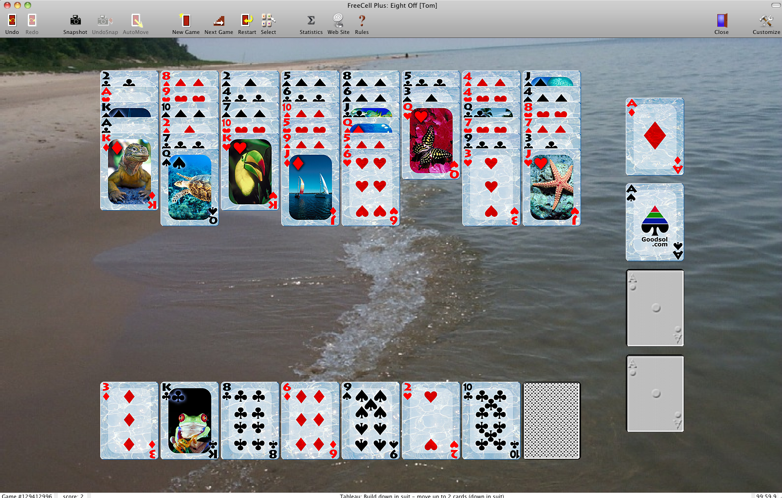 Goodsol FreeCell Plus for iPad