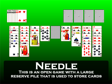 Needle