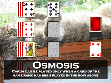 Osmosis